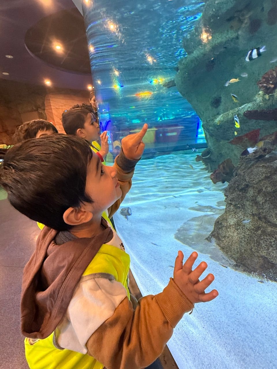 Children watching an immersive light display during an excursion experience.