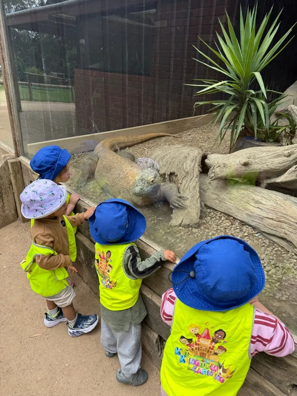 Children exploring around a large tree feature during an outdoor excursion.