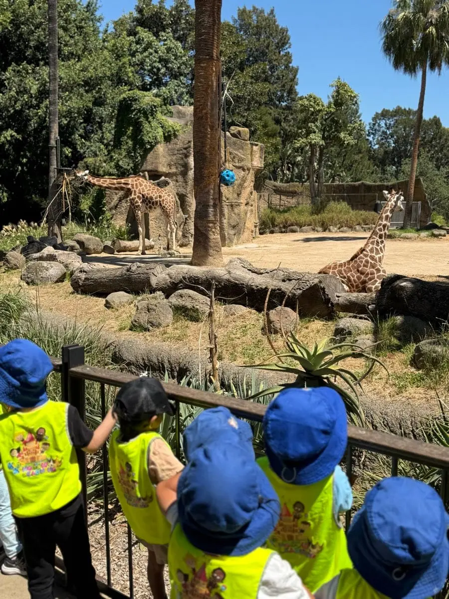 Children gathered at an animal lookout during a real-world learning excursion.